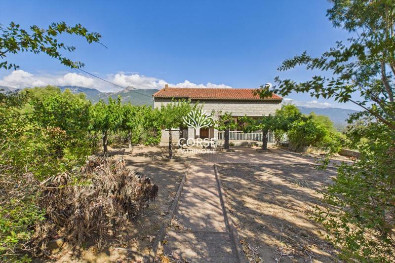 Maison traditionnelle - 250 m² - 5 pièces