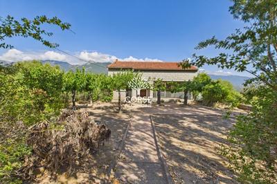 Maison traditionnelle - 250 m² - 5 pièces