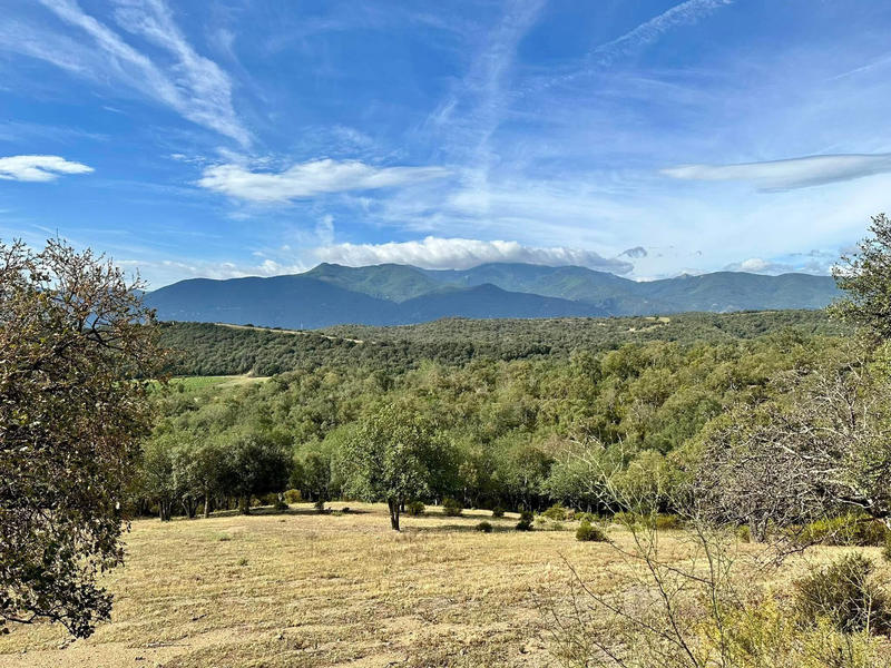 Terrain - 22 800 m²