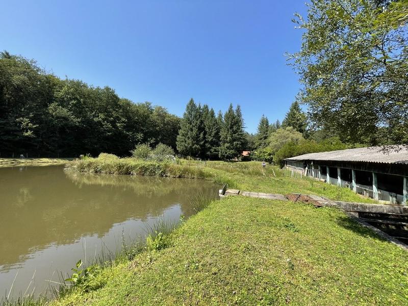 Maison ancienne - 50 m² - 3 pièces