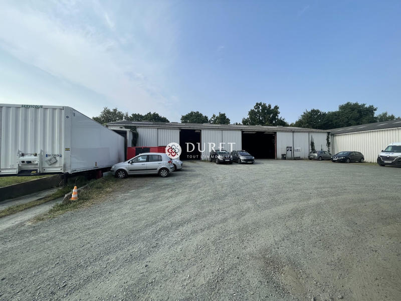 Entrepôt - 1 200 m²