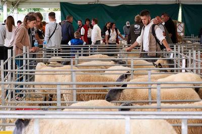 Foire Agricole de Sedan