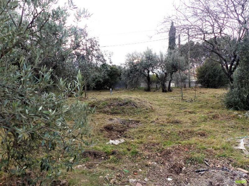 Terrain - 950 m²