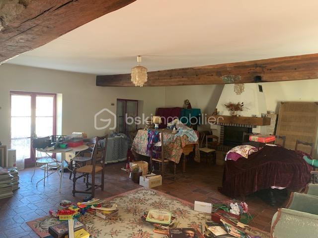 Moulin - 250 m² - 8 pièces