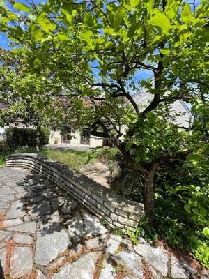 Propriété - 300 m² - 10 pièces