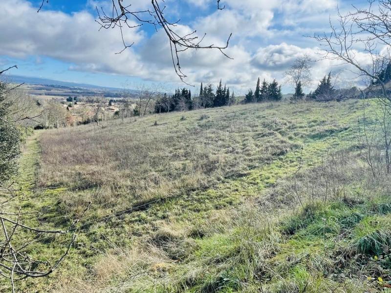 Terrain constructible - 8 000 m²