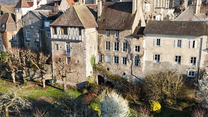 Hôtel particulier - 350 m² - 13 pièces