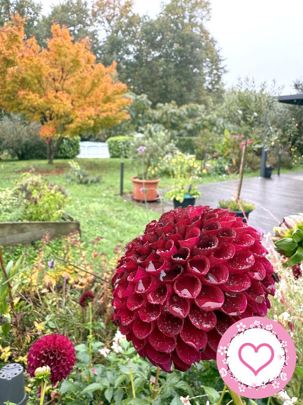 Maison - 118 m² - 6 pièces