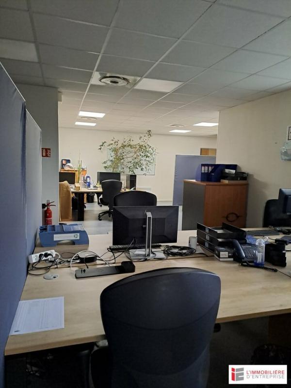 Local d'activité / Entrepôt - 619 m²