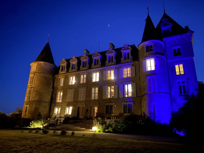 Château - 4 200 m² - 72 pièces