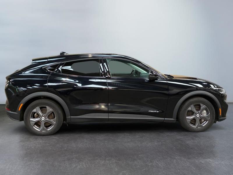 Ford Mustang Mach-E Standard Range 76 kWh 269 ch