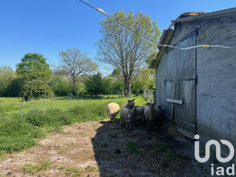 Maison de campagne - 164 m² - 6 pièces