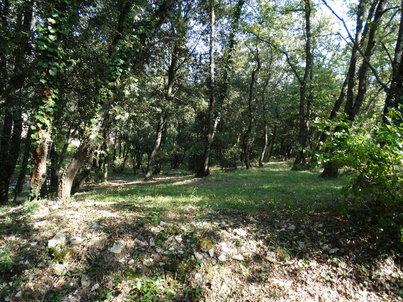 Maison - 240 m² - 7 pièces