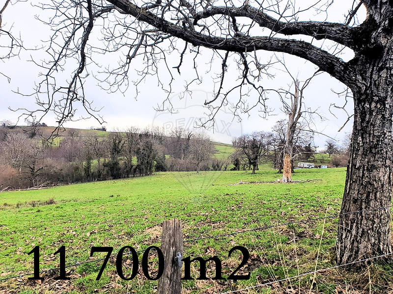 Maison - 149 m² - 5 pièces