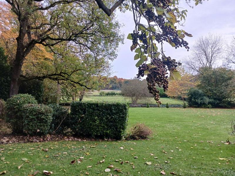 Demeure - 430 m² - 11 pièces