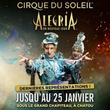 Cirque du Soleil - Alegria In a New Light (Paris)