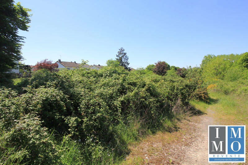 Terrain - 24 965 m²