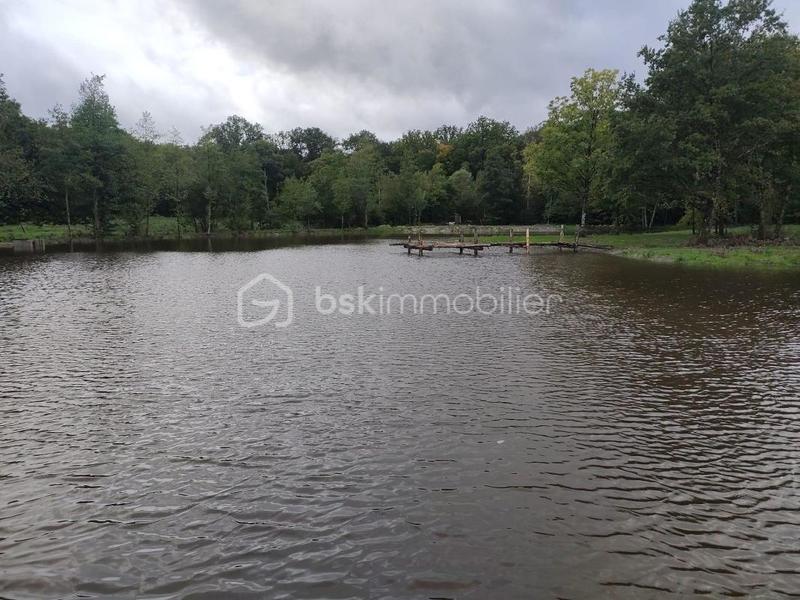 Étang - 27 010 m²