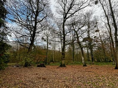 Maison en pierre - 220 m² - 10 pièces