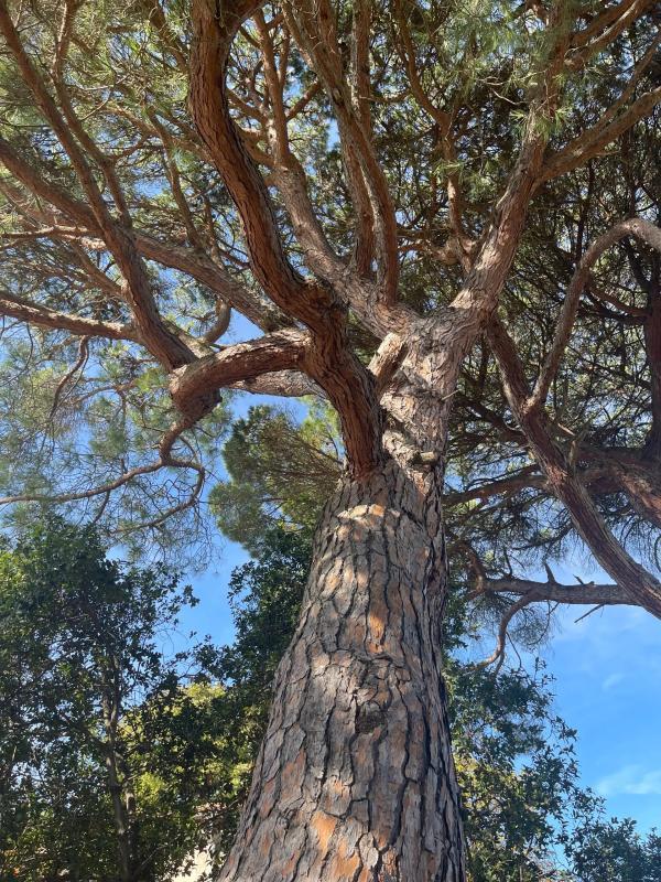 Maison de maîtres - 900 m² - 14 pièces