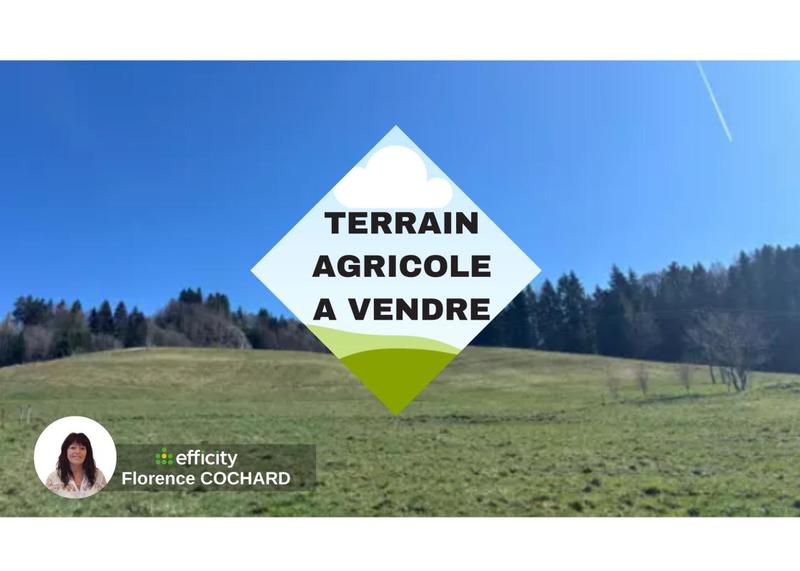 Terrain agricole - 50 000 m²