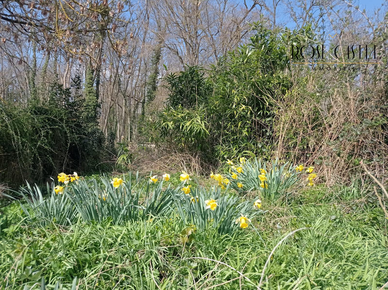 Maison ancienne - 77 m² - 4 pièces