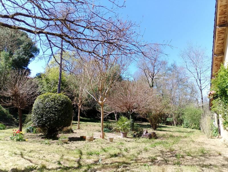 Maison ancienne - 280 m² - 8 pièces