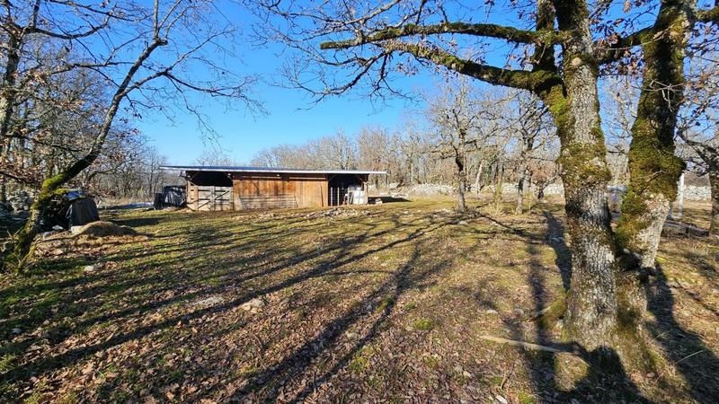 Terrain - 80 524 m²