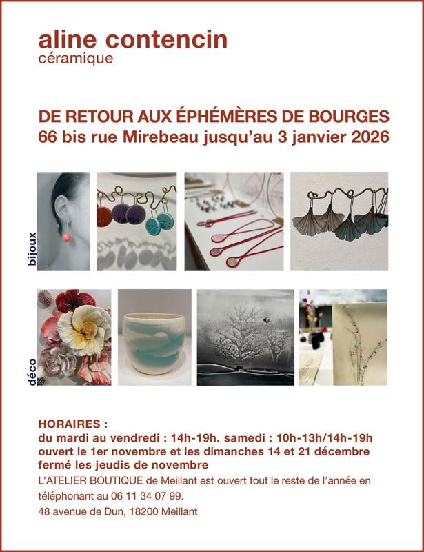 Exposition Aline Contencin