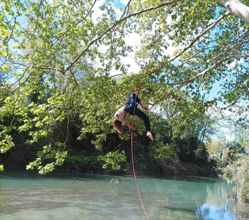 Stage Danse dans les arbres