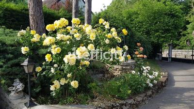 Maison - 180 m² - 5 pièces