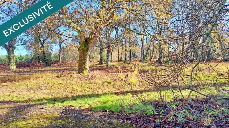 Maison de maîtres - 211 m² - 9 pièces