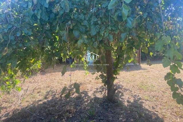 Maison - 99 m² - 4 pièces