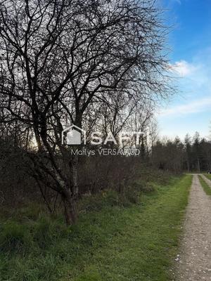 Terrain - 7 419 m²