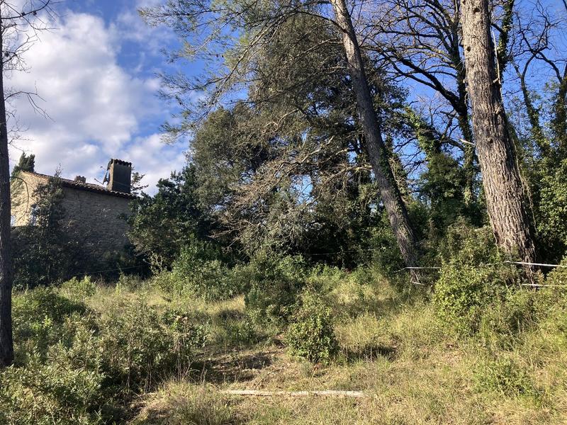 Terrain constructible - 11 000 m²