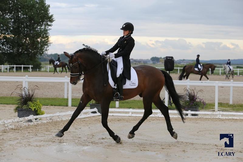 Equitation – Concours de dressage