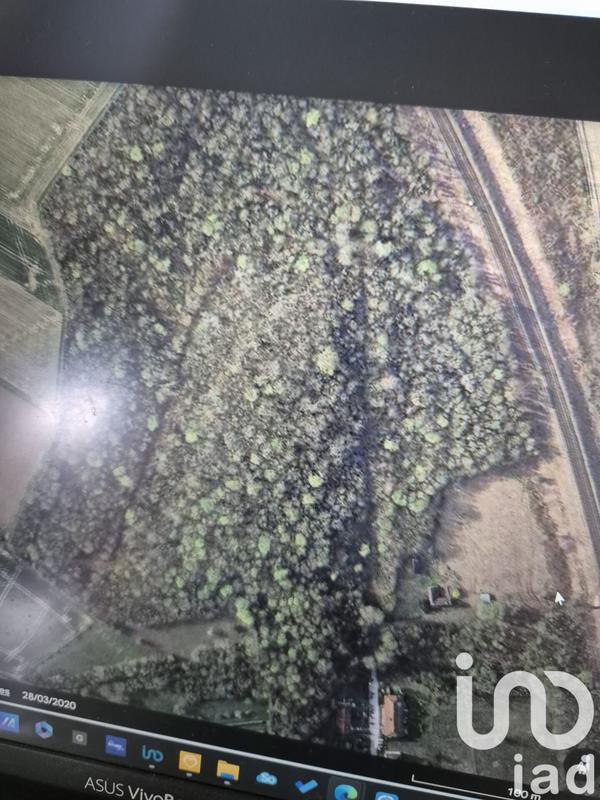 Terrain - 137 452 m²