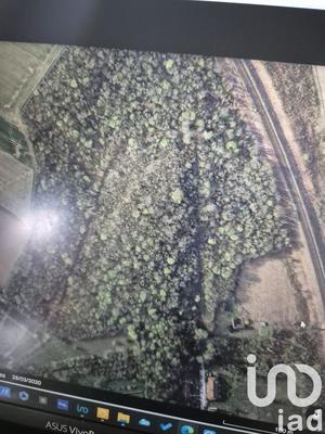 Terrain - 137 452 m²