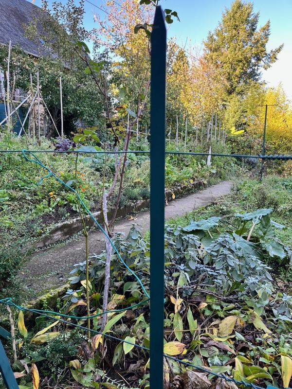 Maison - 70 m² - 4 pièces