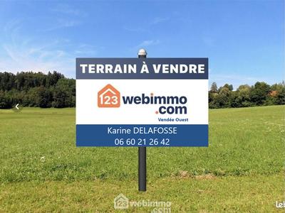 Terrain - 239 m²