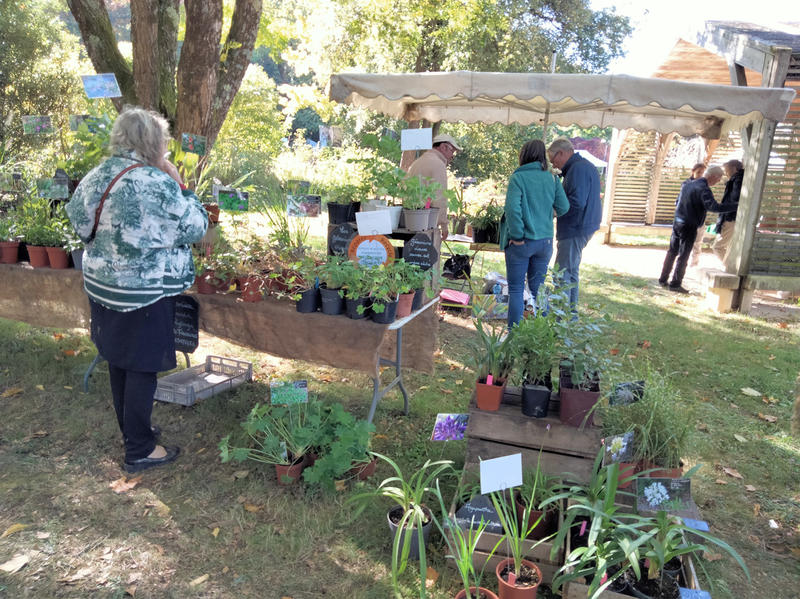 33e Florales du Petr du Pays du Ruffécois