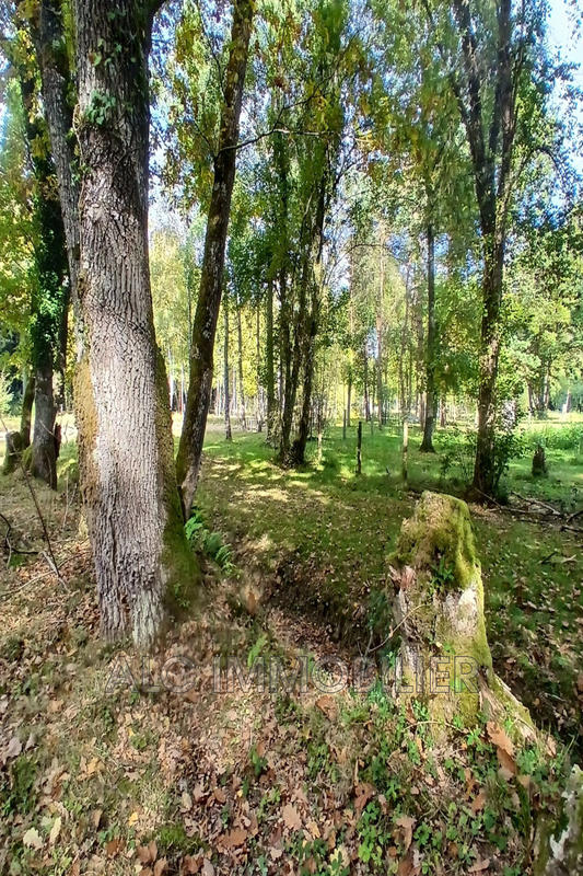 Terrain de loisirs - 23 520 m²