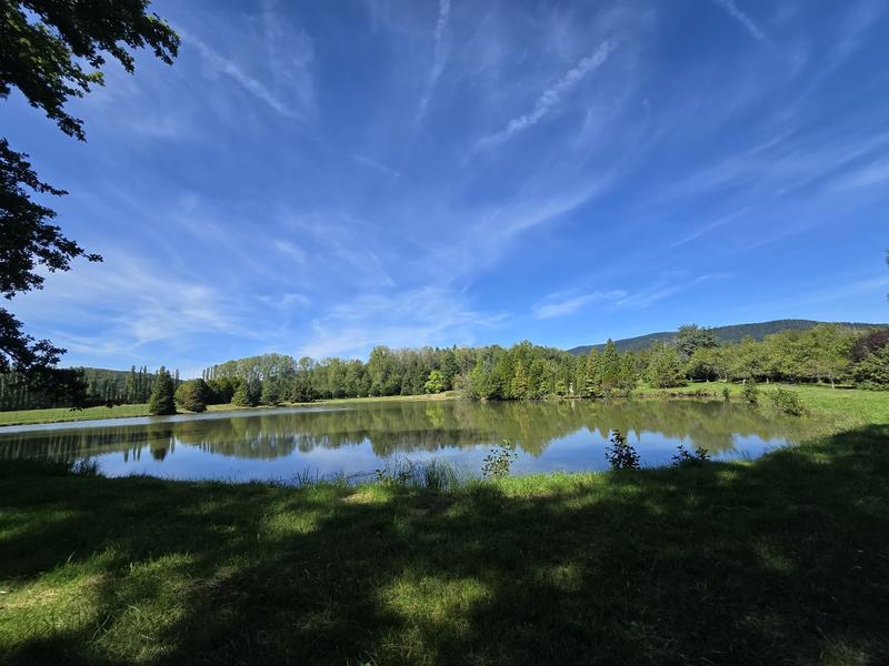 Étang - 43 885 m²