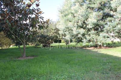 Terrain constructible - 650 m²