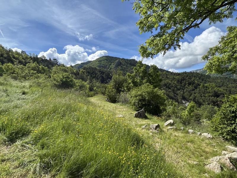 Maison - 195 m² - 8 pièces