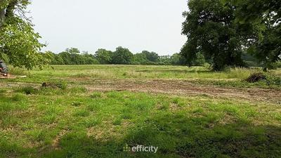 Maison de campagne - 150 m² - 6 pièces