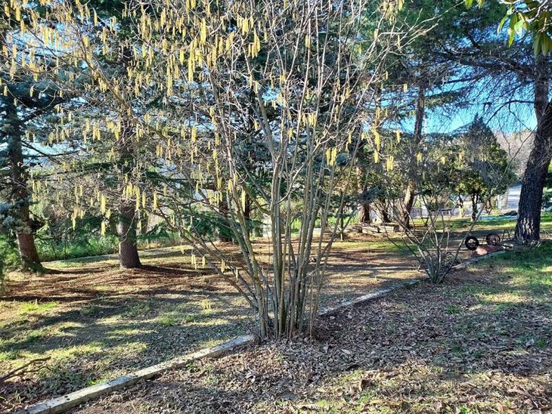 Terrain constructible - 1 800 m²