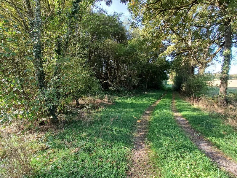 Terrain - 11 040 m²