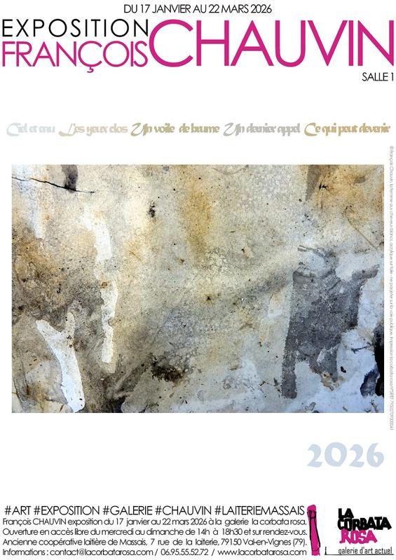 Exposition François Chauvin