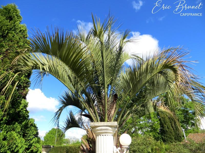 Maison - 171 m² - 6 pièces